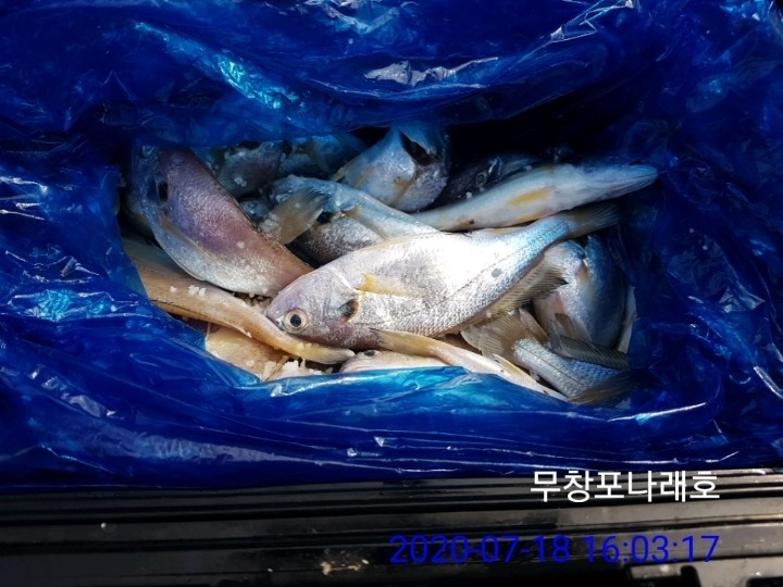 신나래 이미지