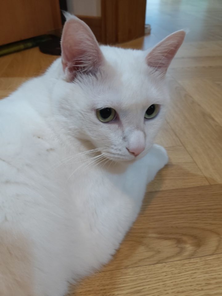밥쟁이 이미지