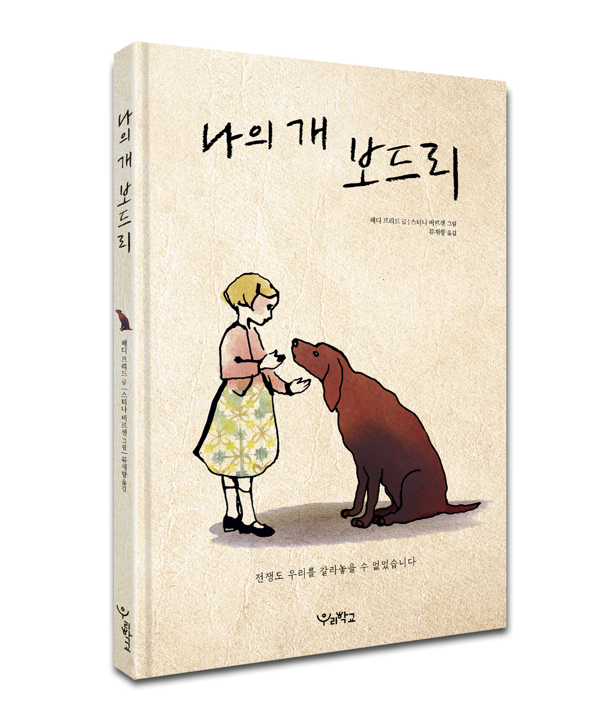 보드리 이미지