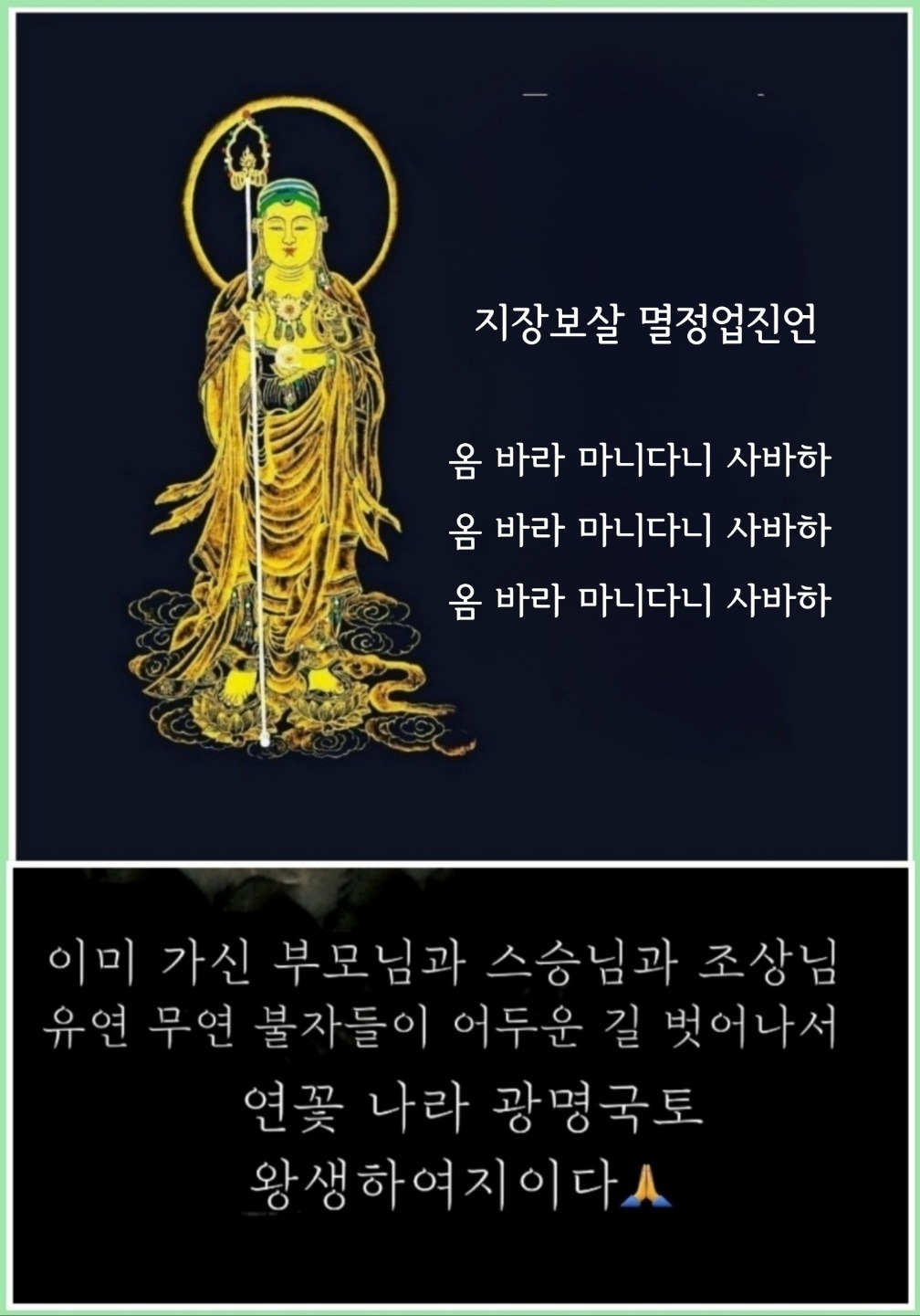 (주)도리천 이미지