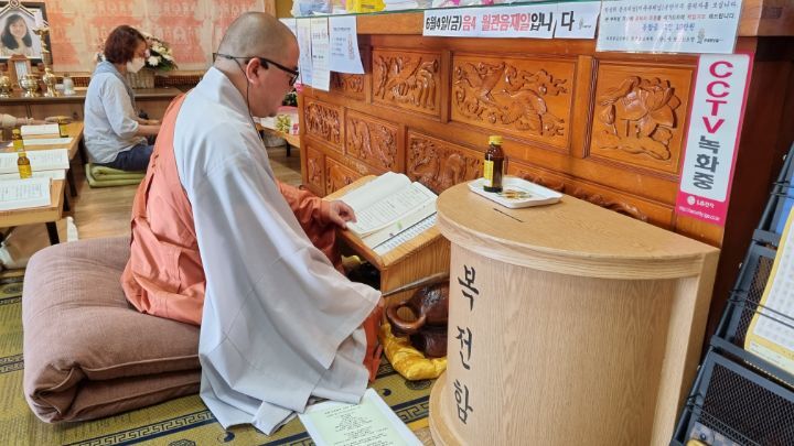 법인백정 이미지
