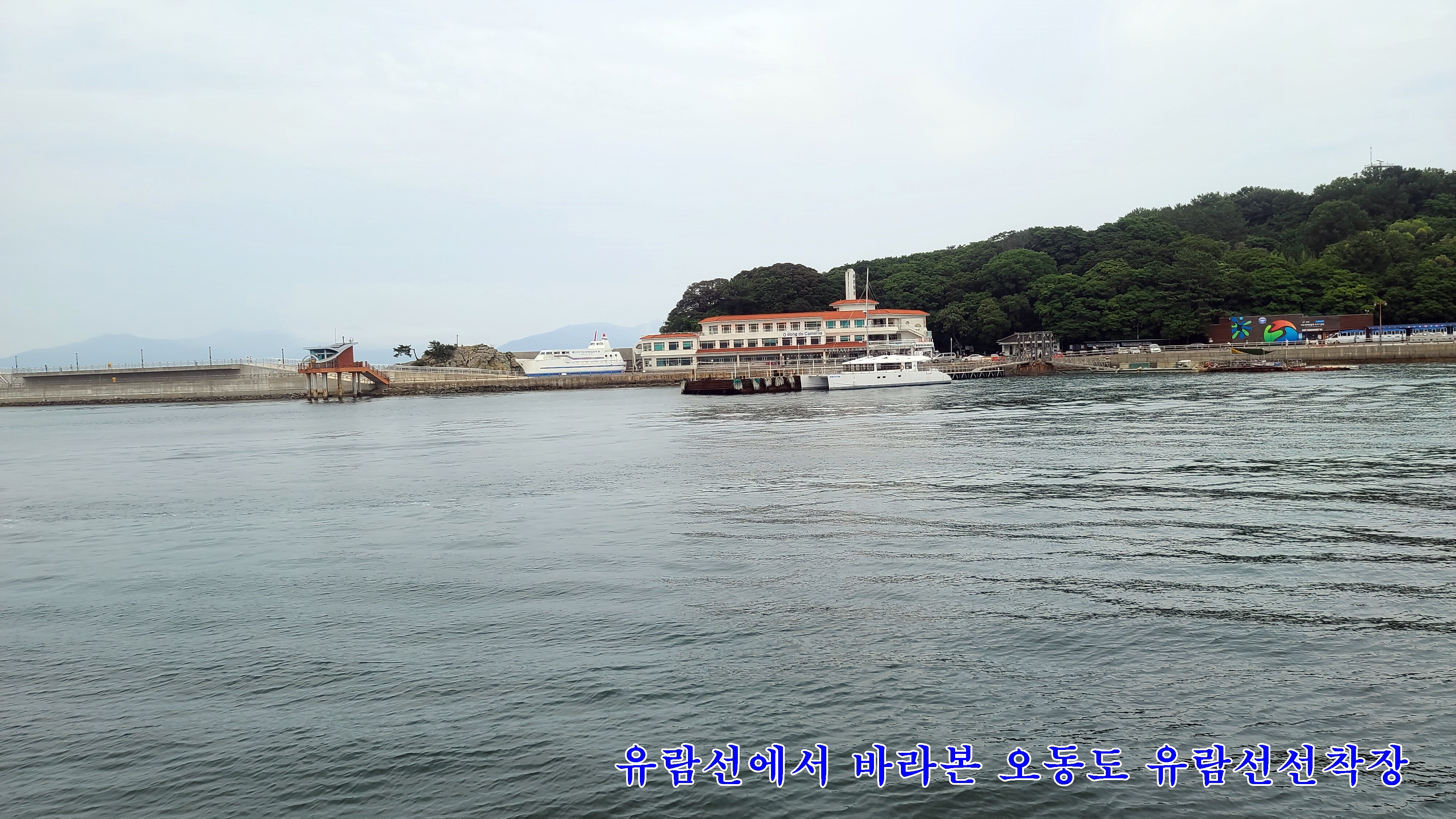 오동도유람선 이미지