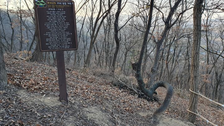 나무친구들 이미지