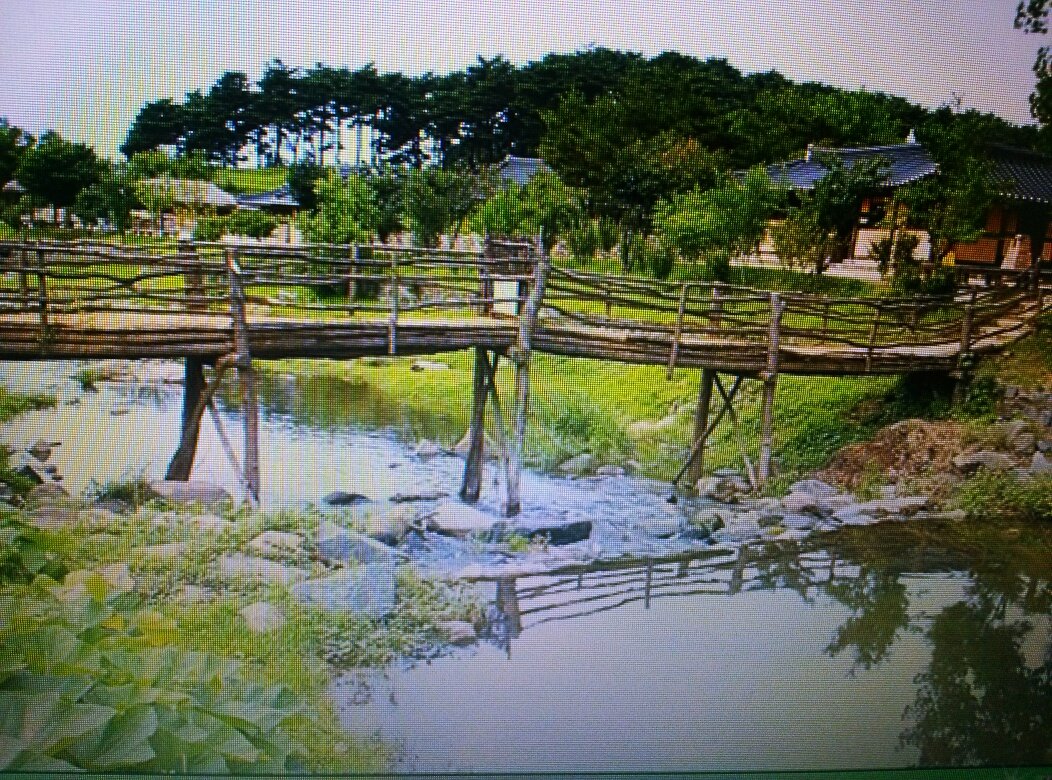 고향야채 이미지