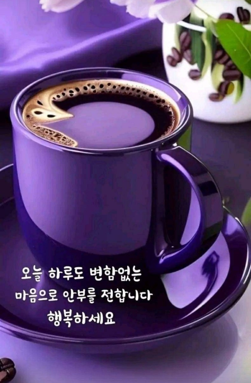꽃피는봄 이미지