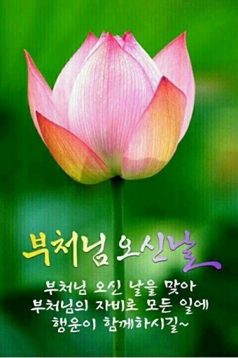 부엉이골 이미지