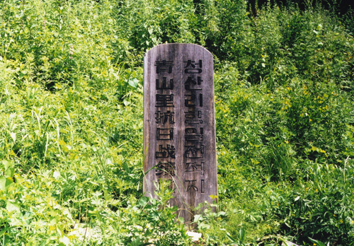 고운님 이미지