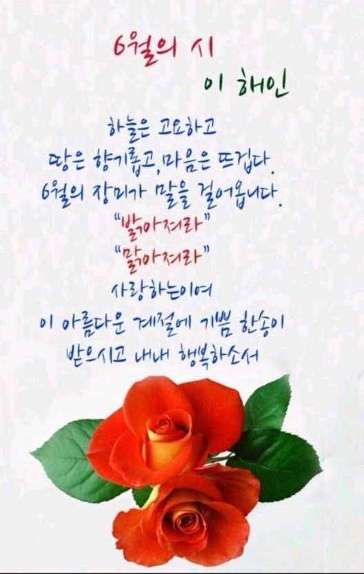 누리달 이미지