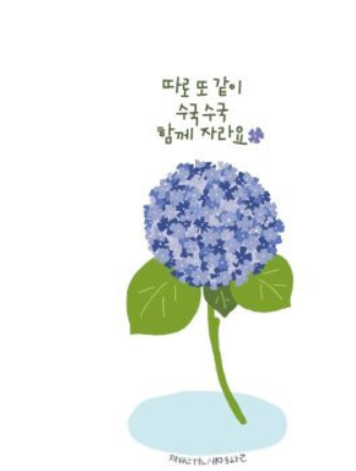 어느날오월 이미지