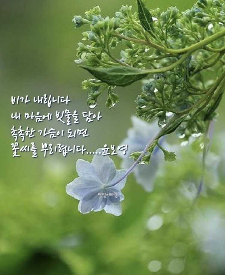 시원한주 이미지