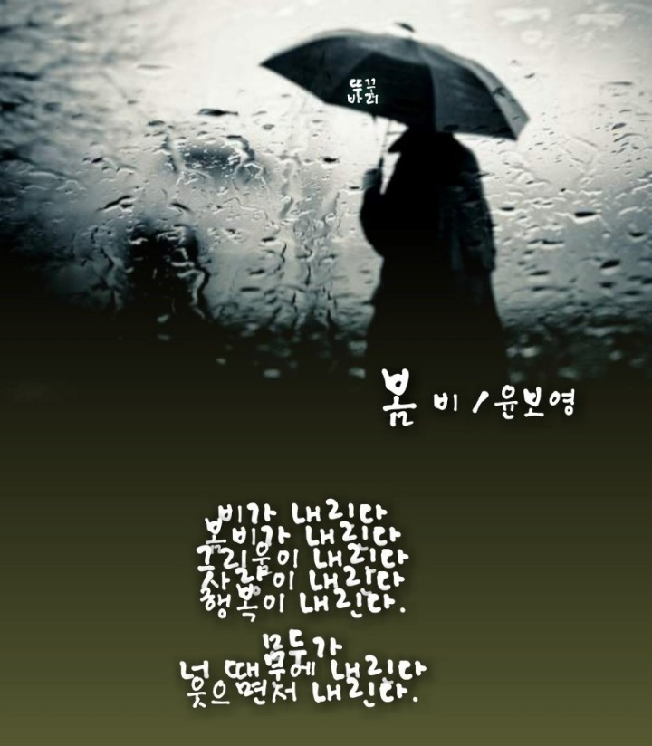 봄비 이미지