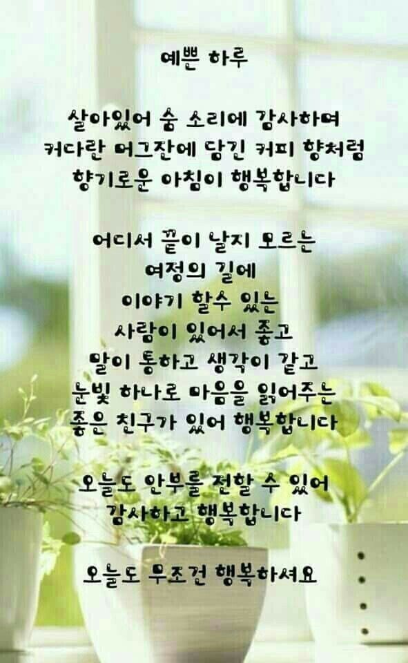 예쁜하루 이미지