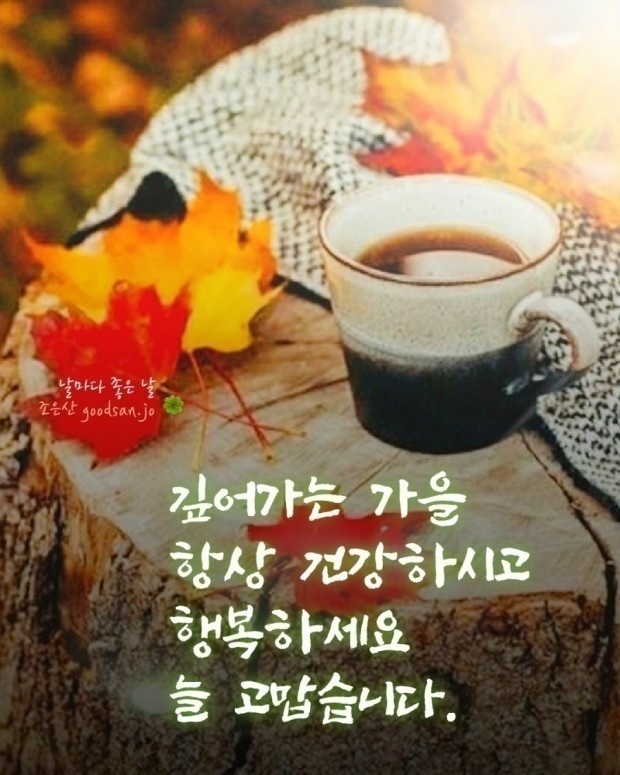 봄안에 이미지