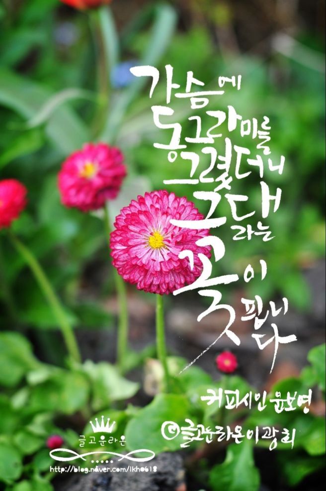 어느날오월 이미지