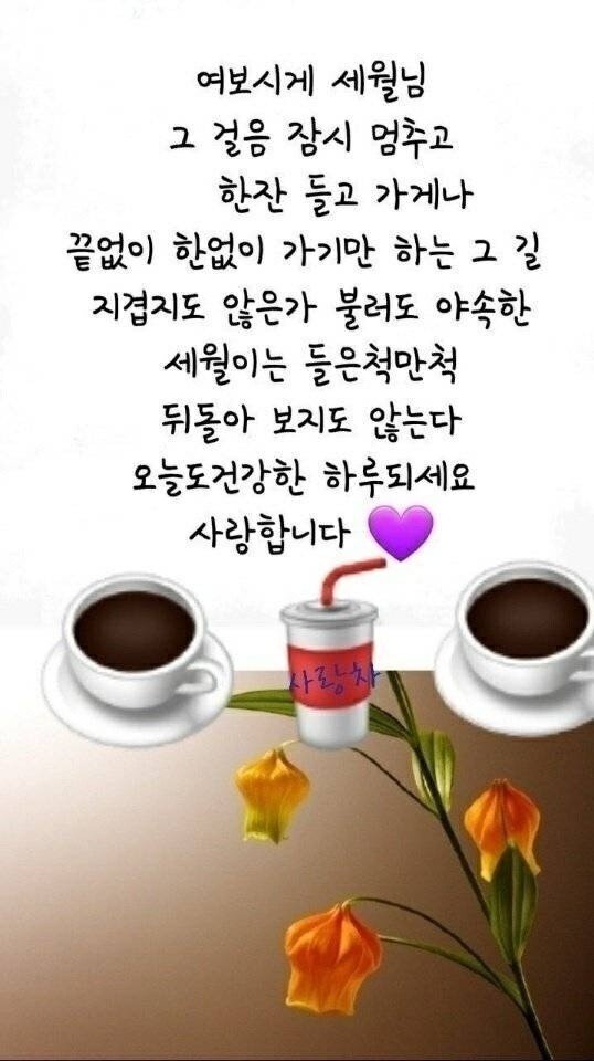 싱싱한하루 이미지