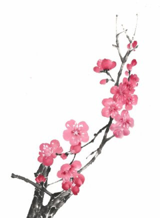 남쪽향기 이미지