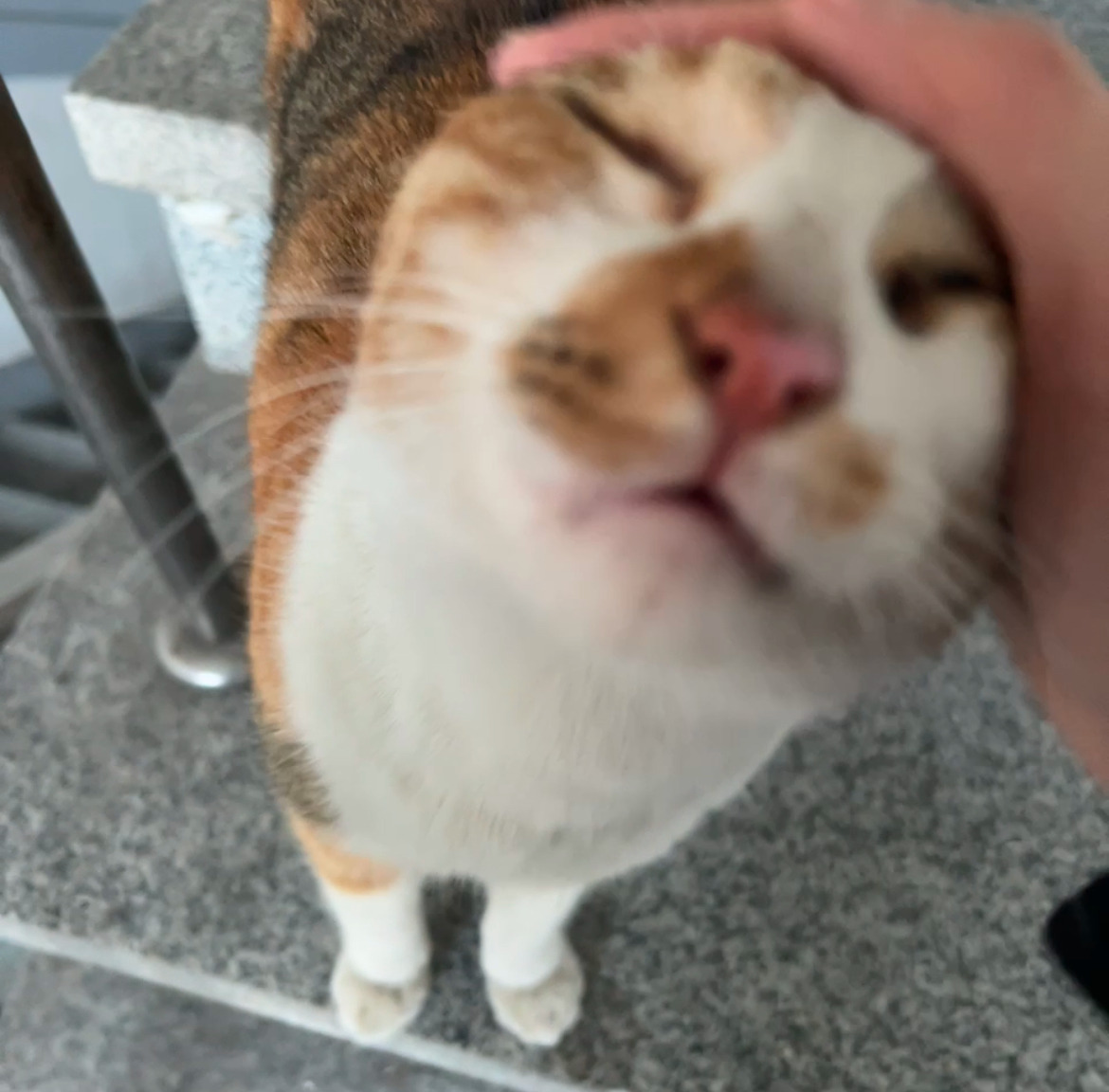 콜렉터 이미지