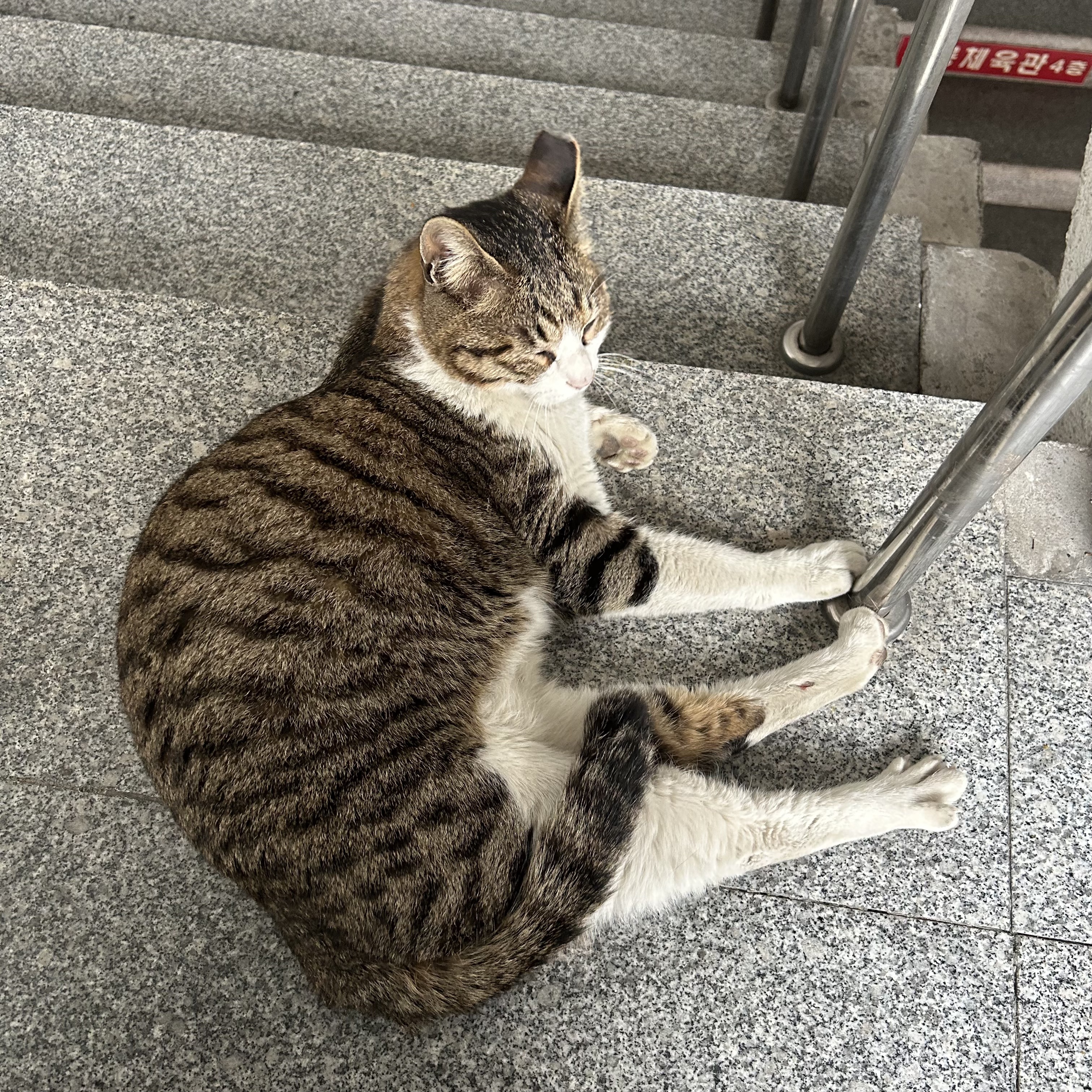 콜렉터 이미지
