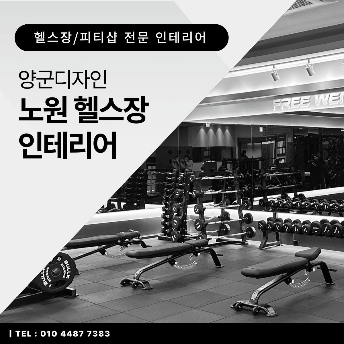 양군 이미지