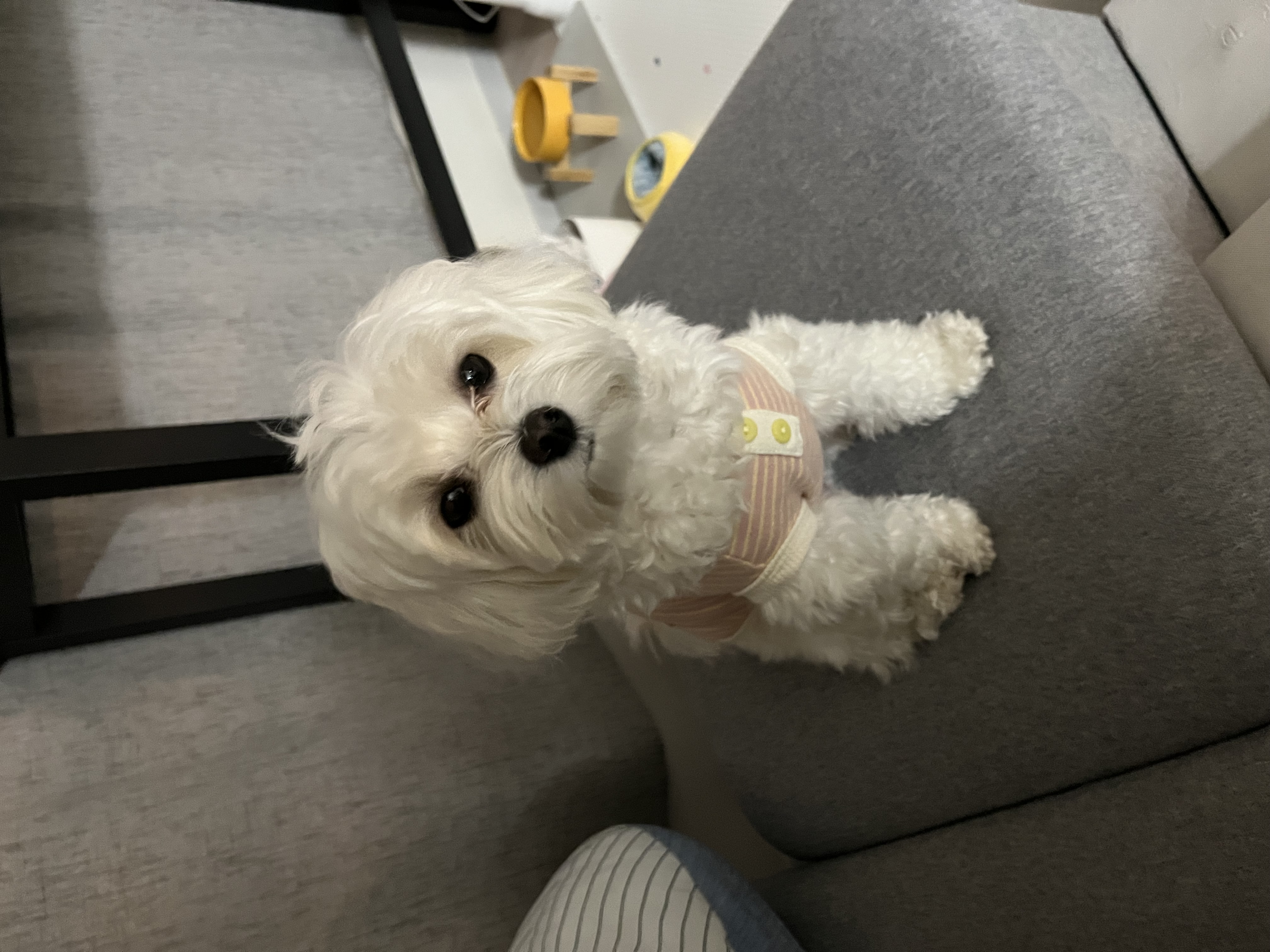 제이와이스포츠 이미지
