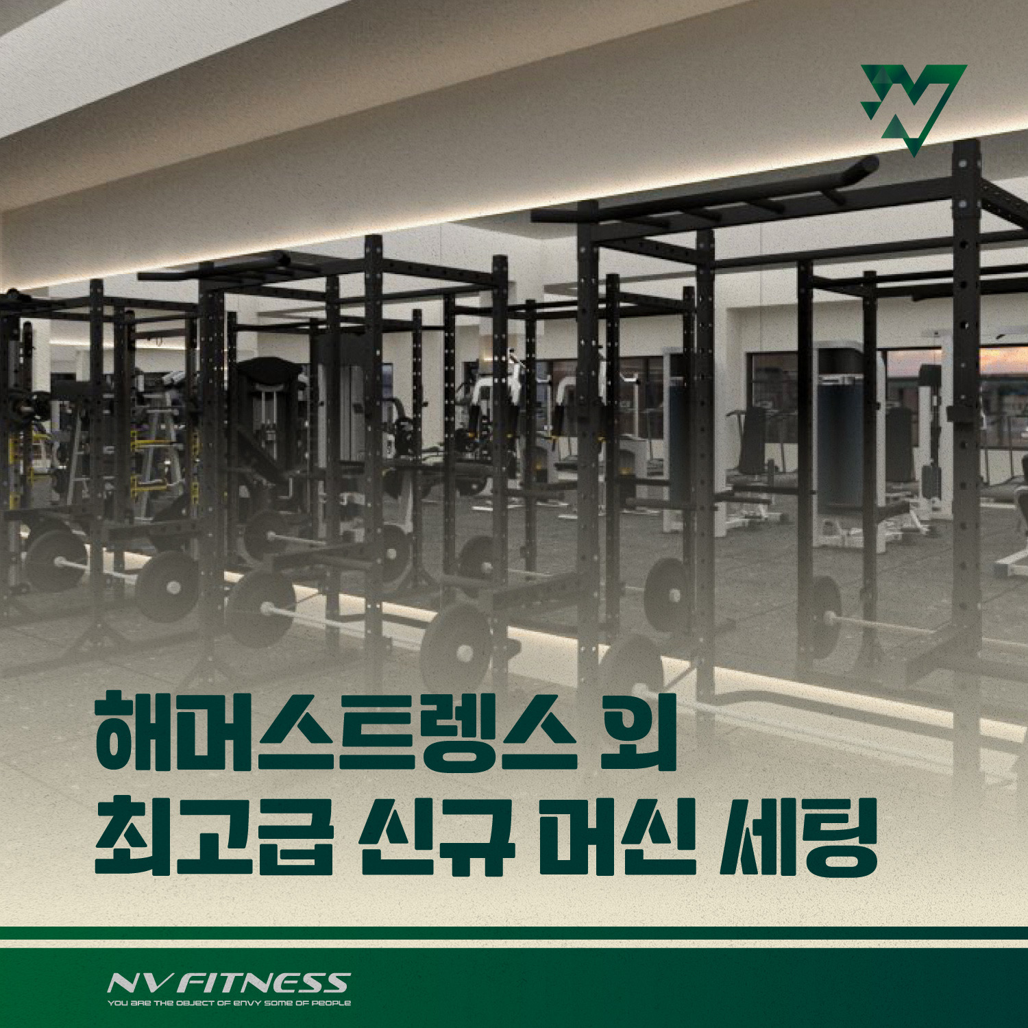엔브이 이미지