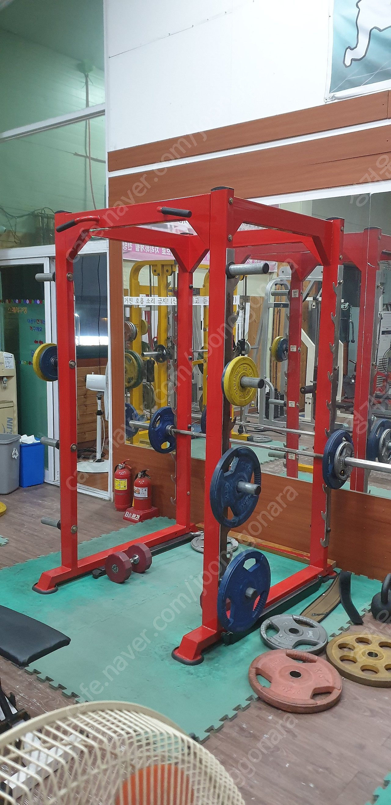 씨엔케이(CNK) 이미지