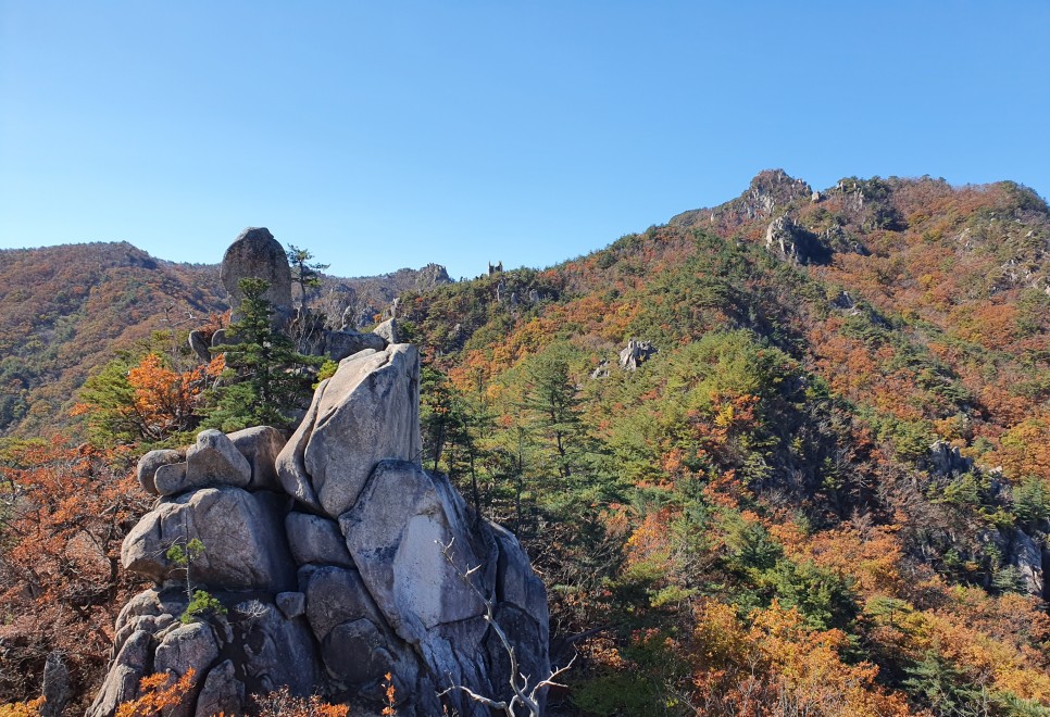 남산 이미지