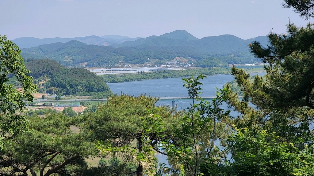 금강의자 이미지