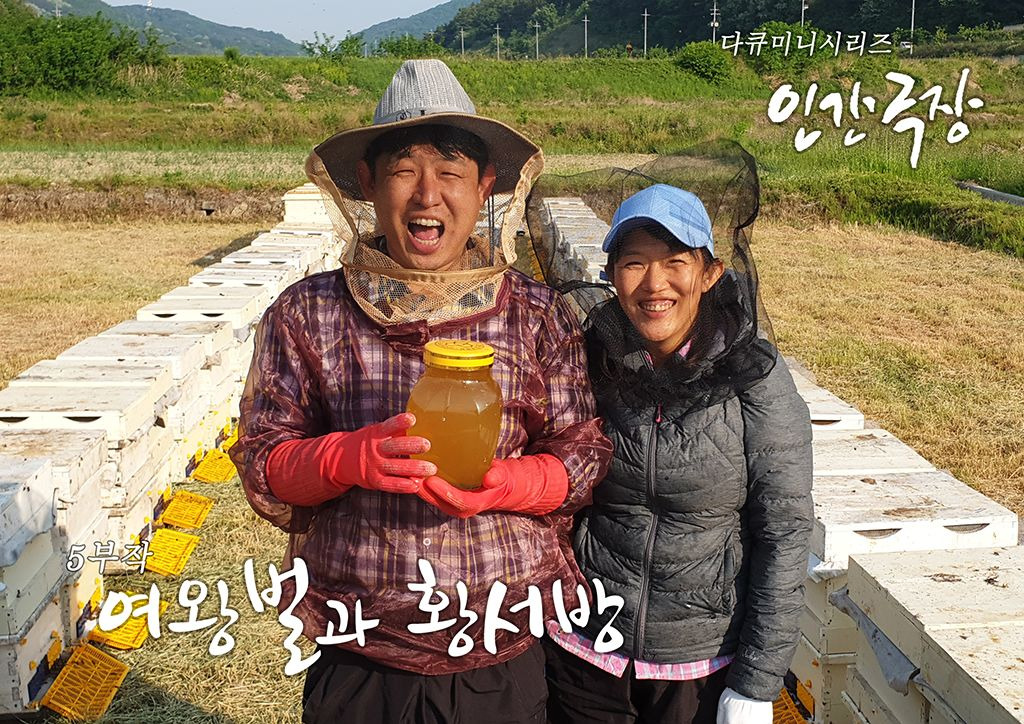 정성가득 이미지