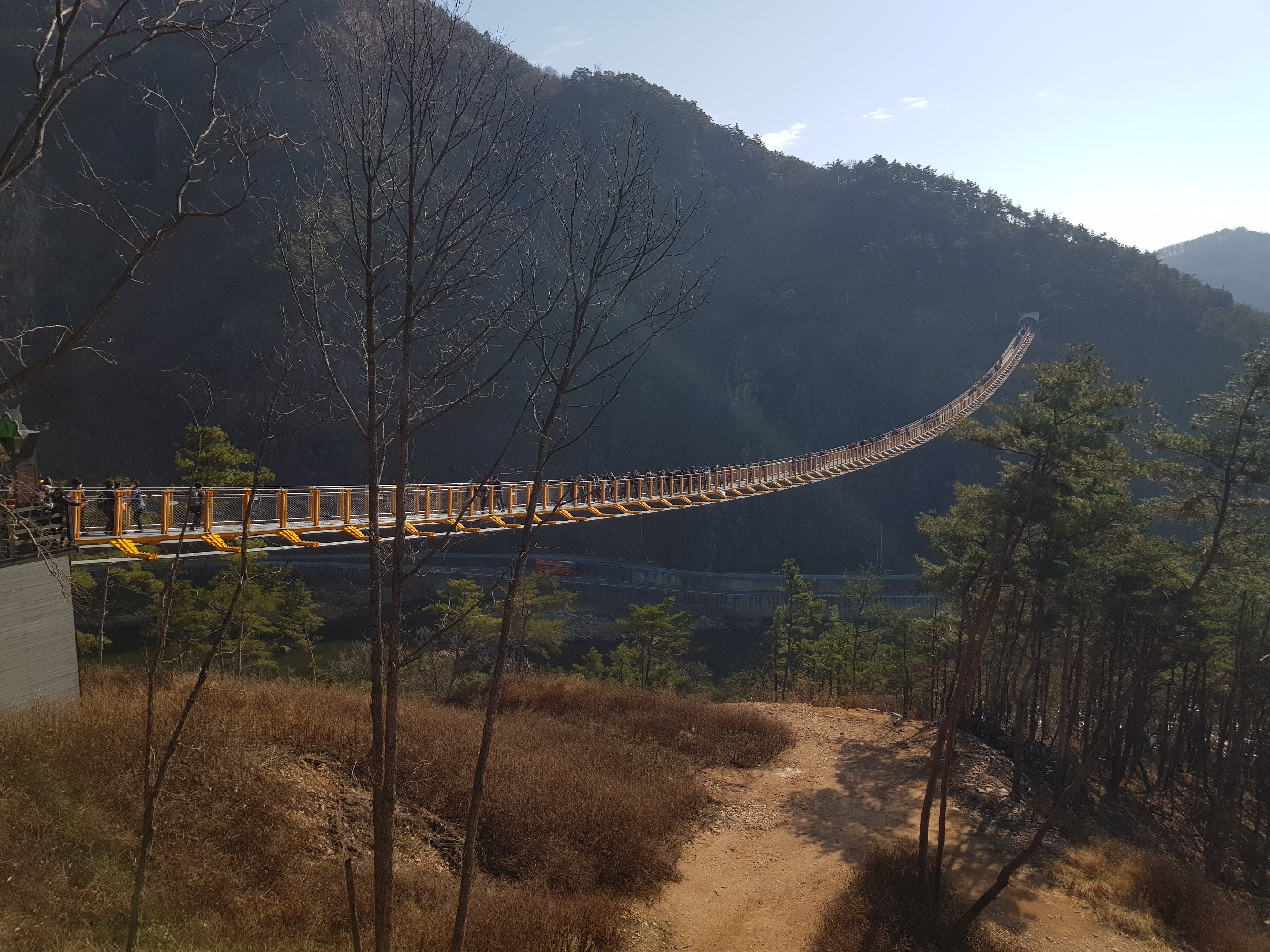 금산수삼센타 이미지