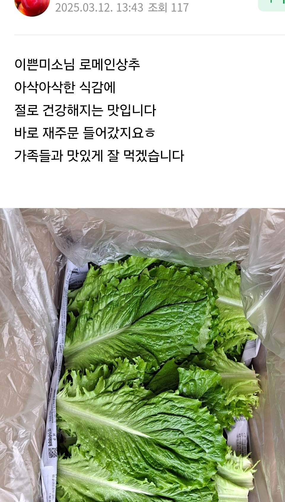 로메인 이미지
