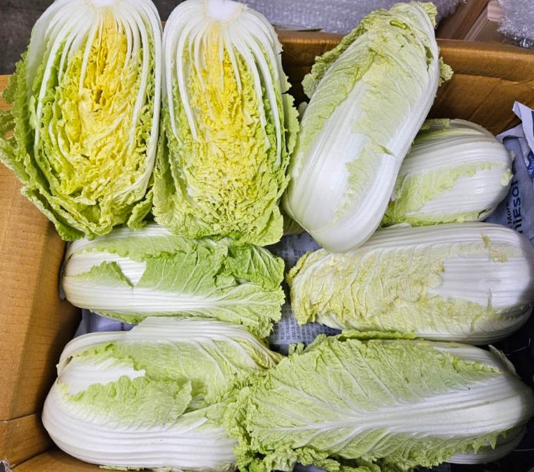 알배기 이미지
