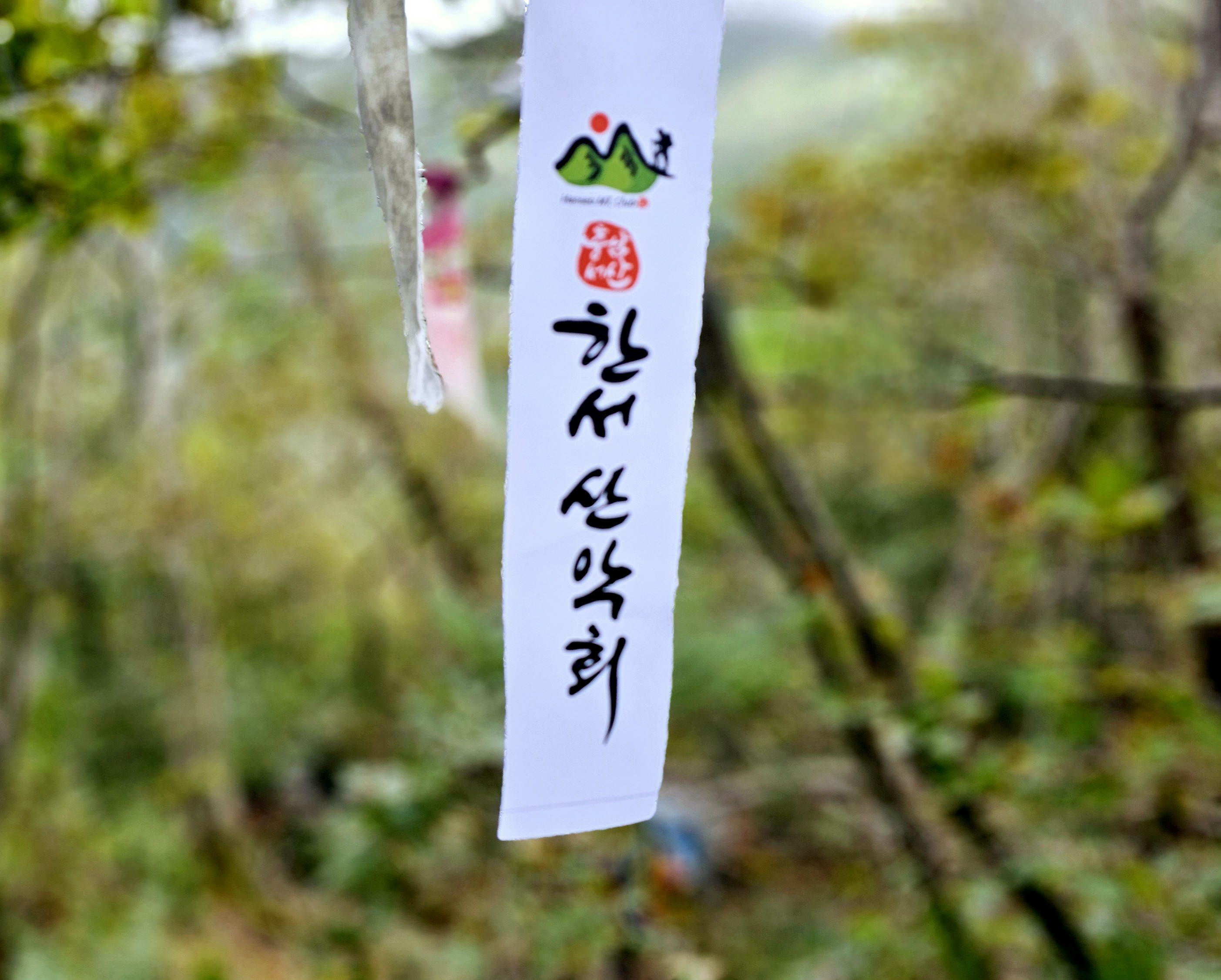 한서네 이미지