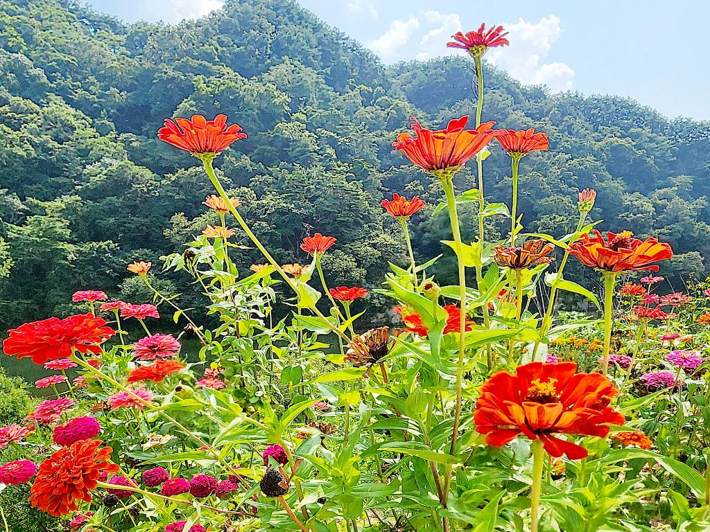 밥짓는행복 이미지