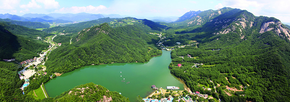산세라 이미지
