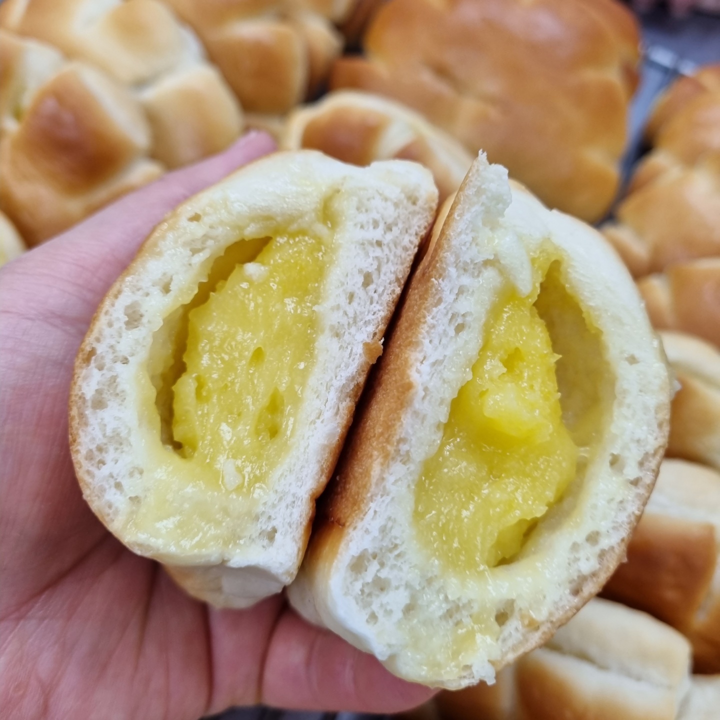 꼬마야놀자 이미지