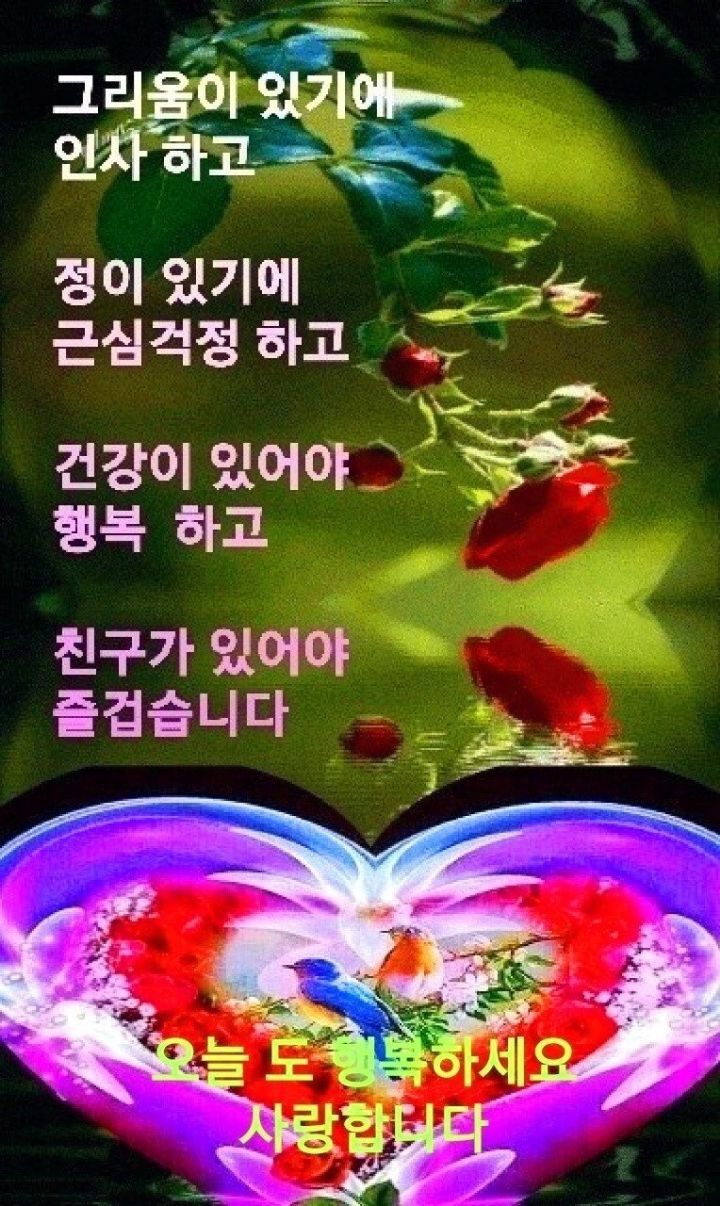 글 - ☆………예쁜 영상모음 - 레시피 따라쟁이 글