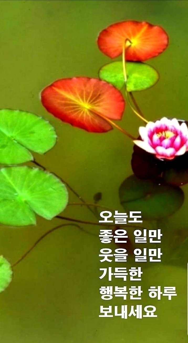 복권방 이미지