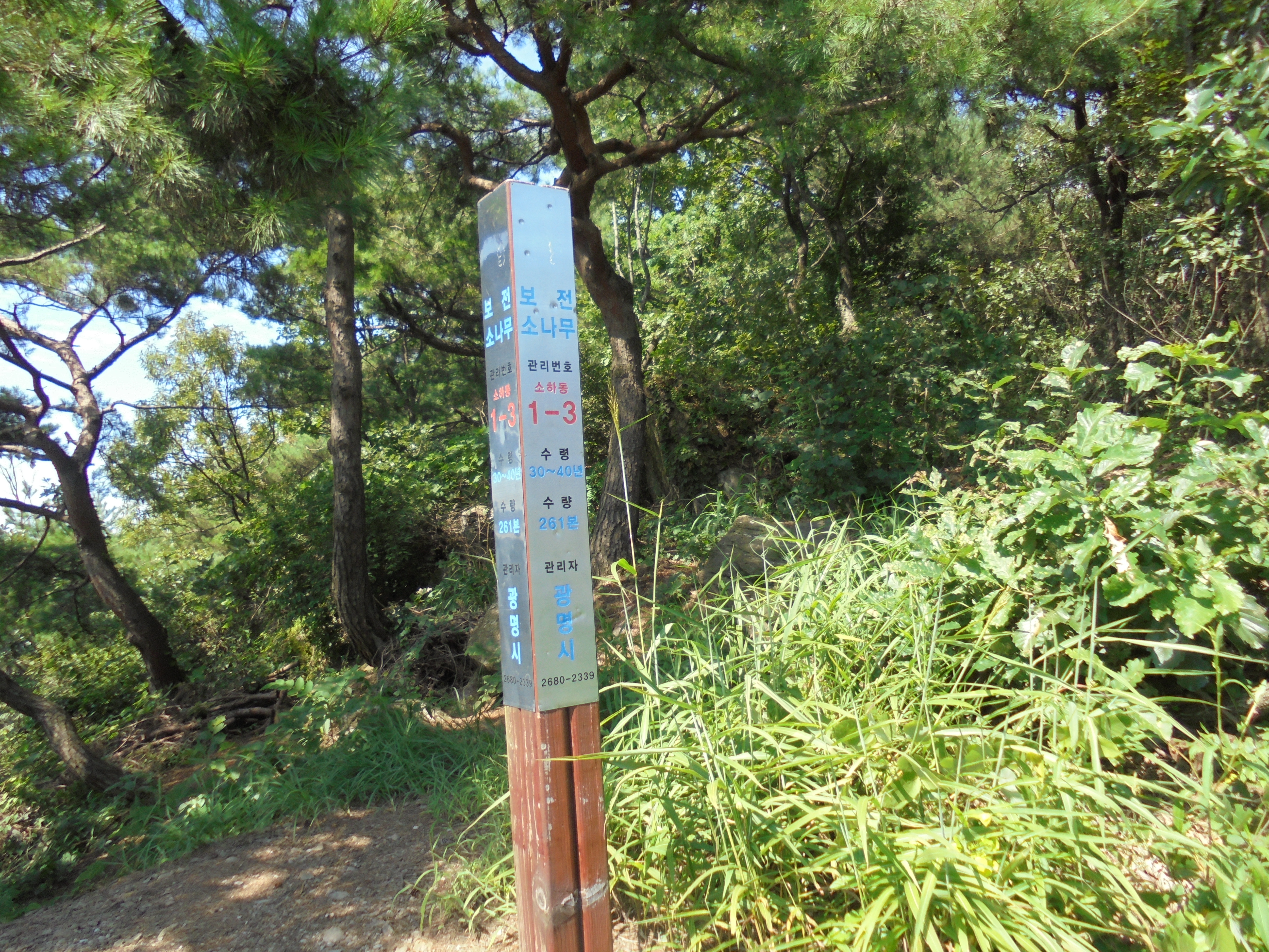 가학산 정상 전망대 이미지