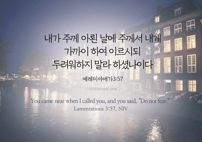애가 이미지