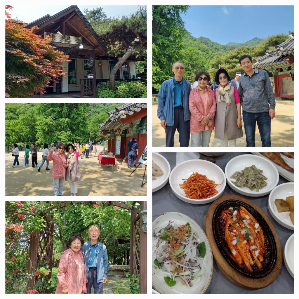 하얀집식당 이미지