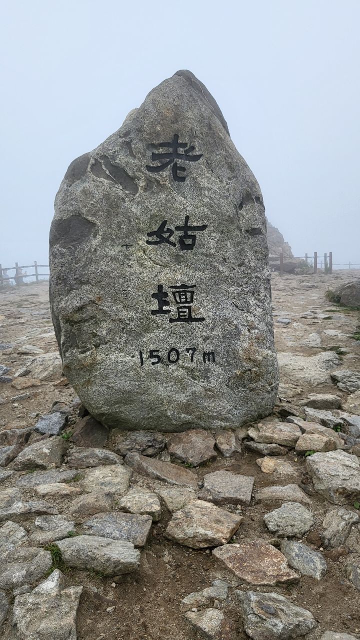 지리산흑도야지 이미지