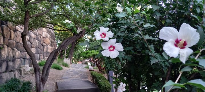 다산개발 이미지