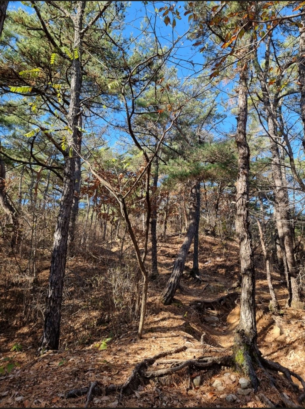 돌산 이미지