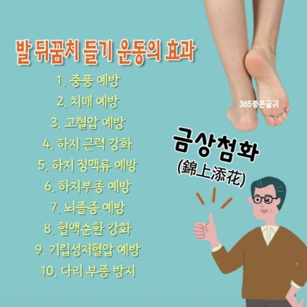 금상첨화 이미지