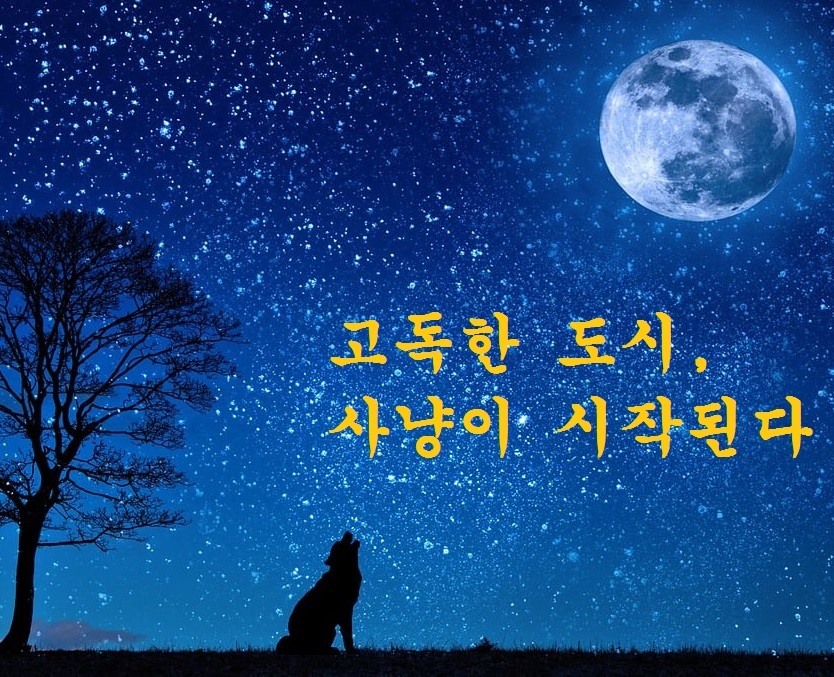 도시의사냥꾼 이미지
