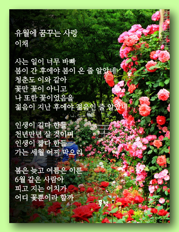 유월에 이미지