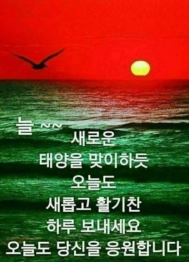 햇살 이미지