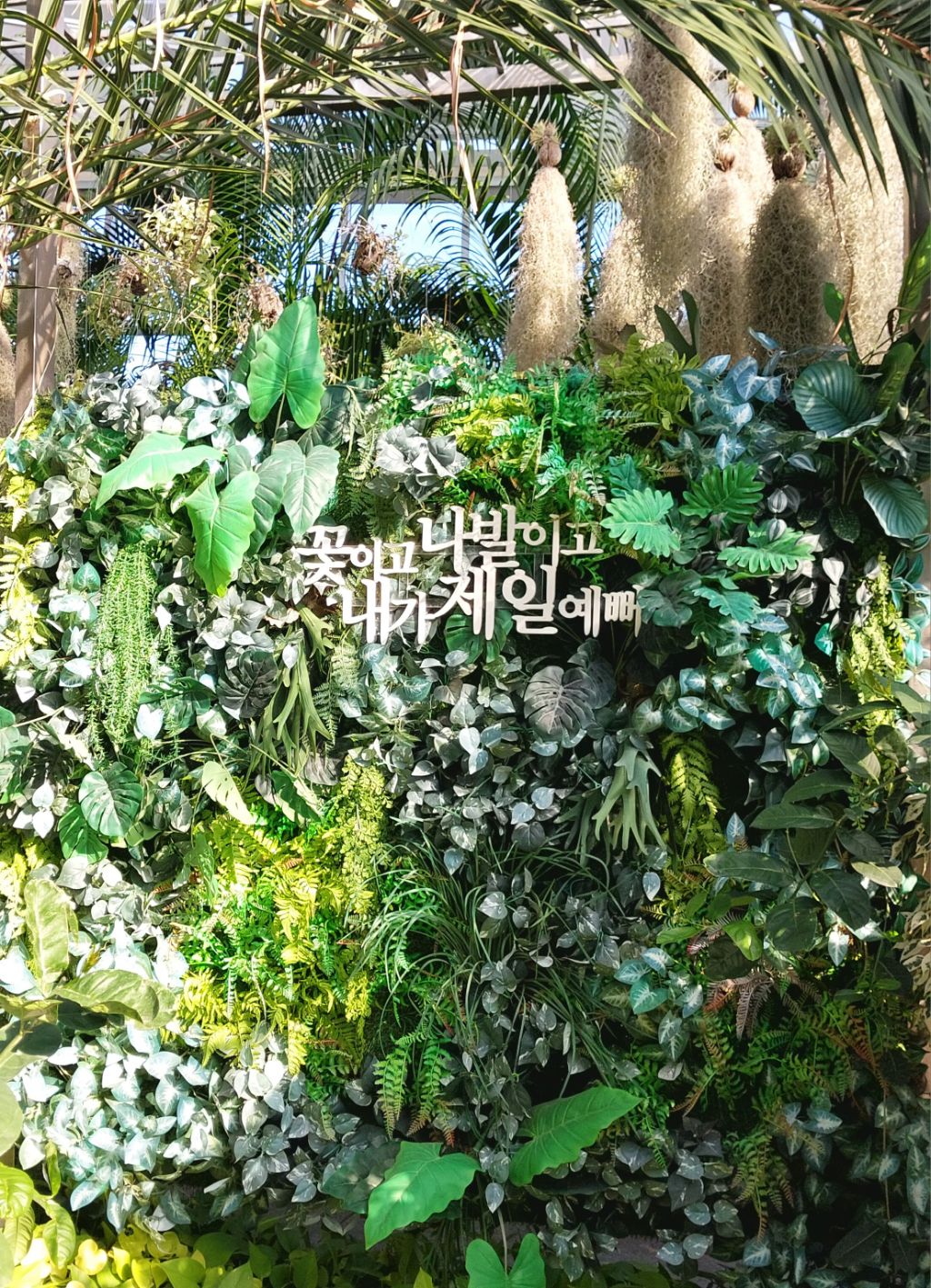 식물원 이미지