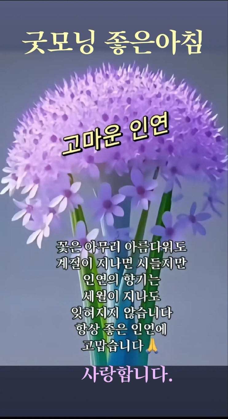 인연 이미지